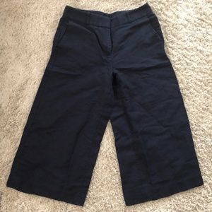 Loft Navy Wide Leg Pants